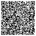 QR code with Mcps contacts