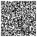 QR code with Brian J Carmine contacts