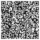 QR code with C P Pulse Inc contacts