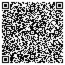 QR code with Crst Van Expedited Inc contacts