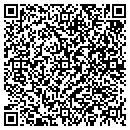 QR code with Pro Handyman Se contacts