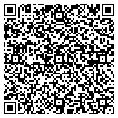 QR code with Blupark Productions contacts