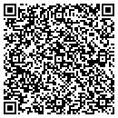 QR code with Pyramid Productions contacts