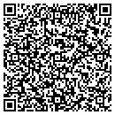 QR code with Pro Tech Systems contacts