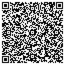 QR code with Professional Details contacts