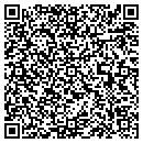 QR code with Pv Towing LLC contacts