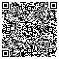QR code with Indaba contacts