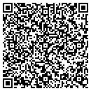 QR code with Pullar Patricia E contacts