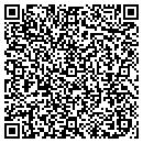 QR code with Prince Of Visions Inc contacts