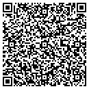 QR code with Pyo Stephen F contacts