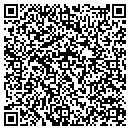QR code with Putzfrav Inc contacts