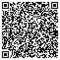 QR code with Amana contacts