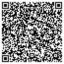 QR code with ProvideNet IT contacts