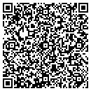 QR code with Professional Upgrades contacts