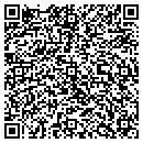 QR code with Cronin Lisa A contacts