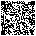 QR code with Ctl Control Systems Inc contacts