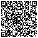 QR code with Casjet contacts
