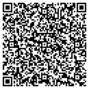 QR code with Pyramid Video Services contacts