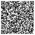 QR code with Sfwar contacts