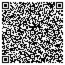 QR code with Borglin Bros contacts