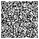 QR code with Ptaa Foundation Inc contacts