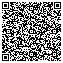 QR code with Pure Energy Corp contacts