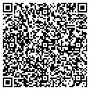 QR code with Puffin Foundation Ltd contacts