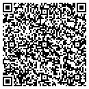 QR code with Promethean Systems contacts