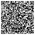 QR code with Sonata contacts