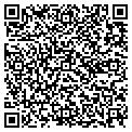 QR code with Signum contacts