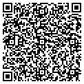 QR code with N Lcc contacts