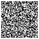 QR code with Premiere Foundation contacts
