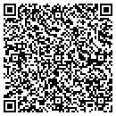 QR code with Pyramid Construction contacts
