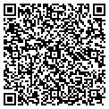QR code with Fowler contacts