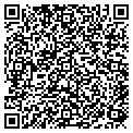 QR code with Logodog contacts