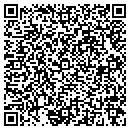 QR code with Pvs Decor Concrete Wks contacts