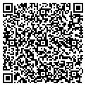 QR code with K Ptak contacts