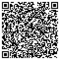 QR code with N Deed contacts