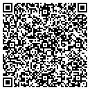 QR code with Cougar Info Systems contacts