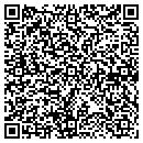 QR code with Precision Corepins contacts