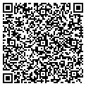 QR code with Av.net contacts