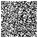 QR code with B R Mc Ginty contacts