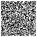QR code with Precision Techniques contacts