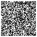 QR code with Premier Flooring contacts