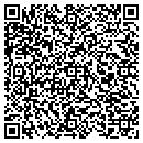 QR code with Citi Connections Inc contacts
