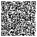 QR code with Todd J contacts