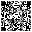 QR code with Minico contacts