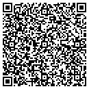QR code with Ppi Construction contacts