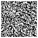 QR code with Pv Enterprises contacts
