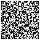 QR code with Project Live contacts